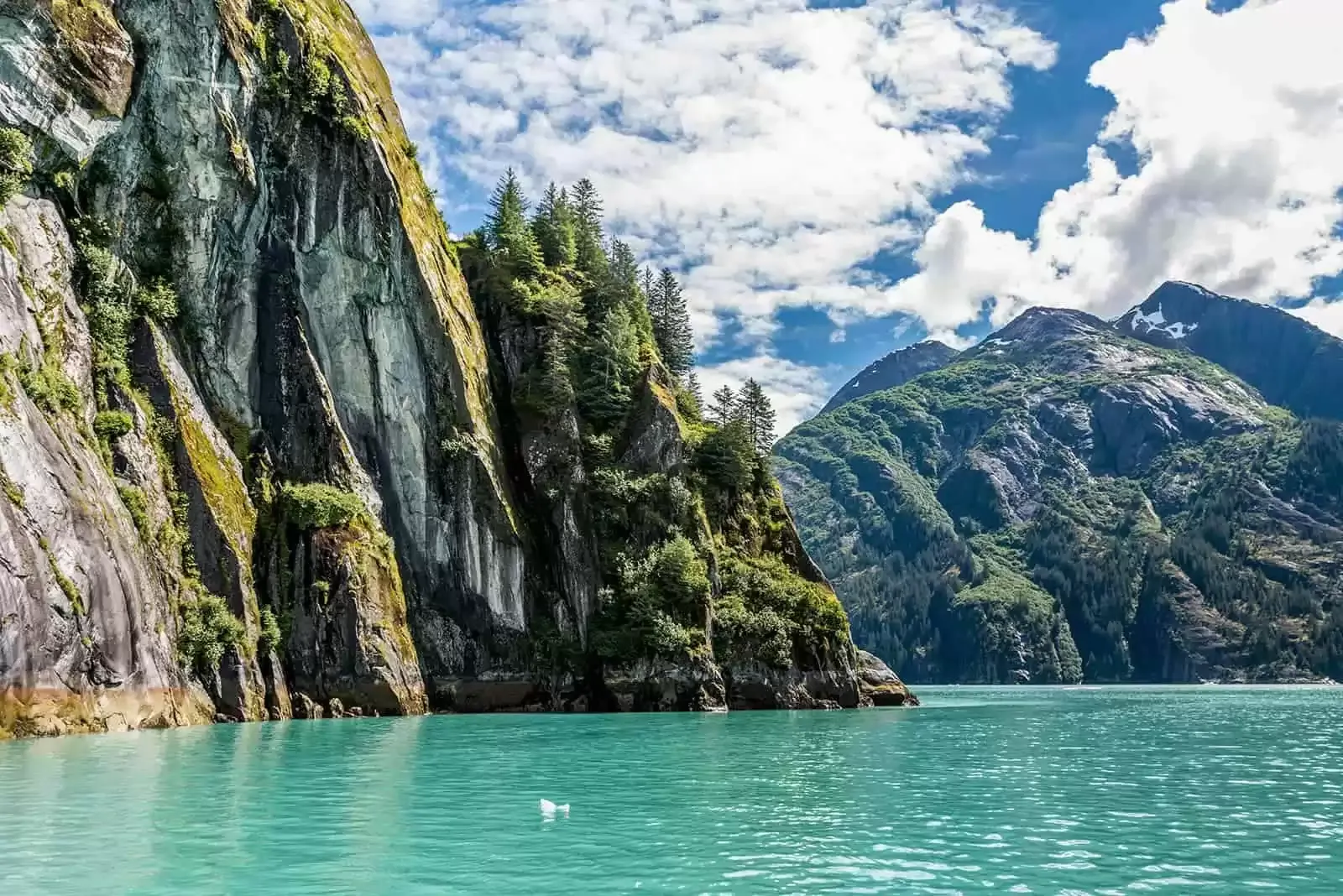 Fiorde Tracy Arm