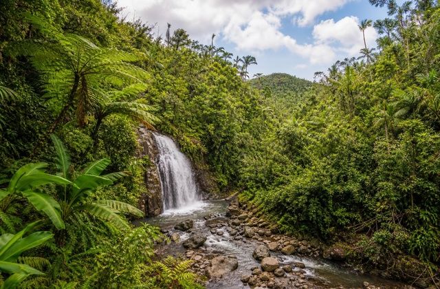 El Yunque