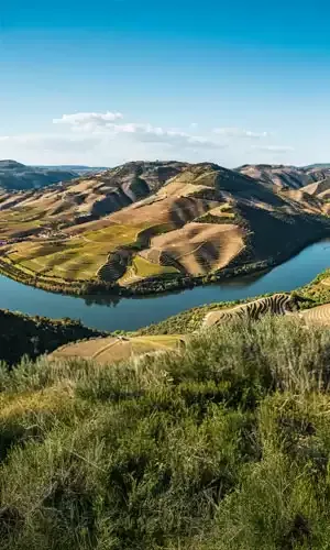 edito