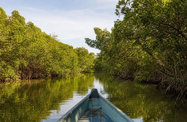 Delta do Sine-Saloum