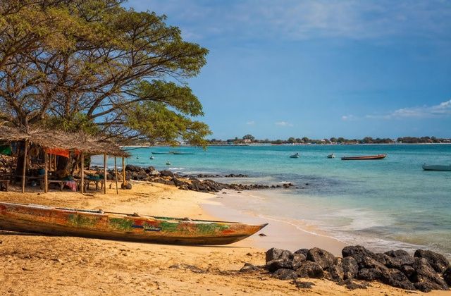Ilha de Ngor