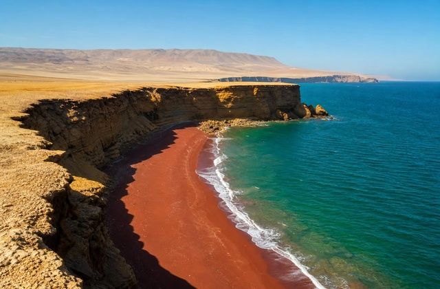 Na Reserva de Paracas