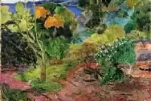 Tarifa Taiti