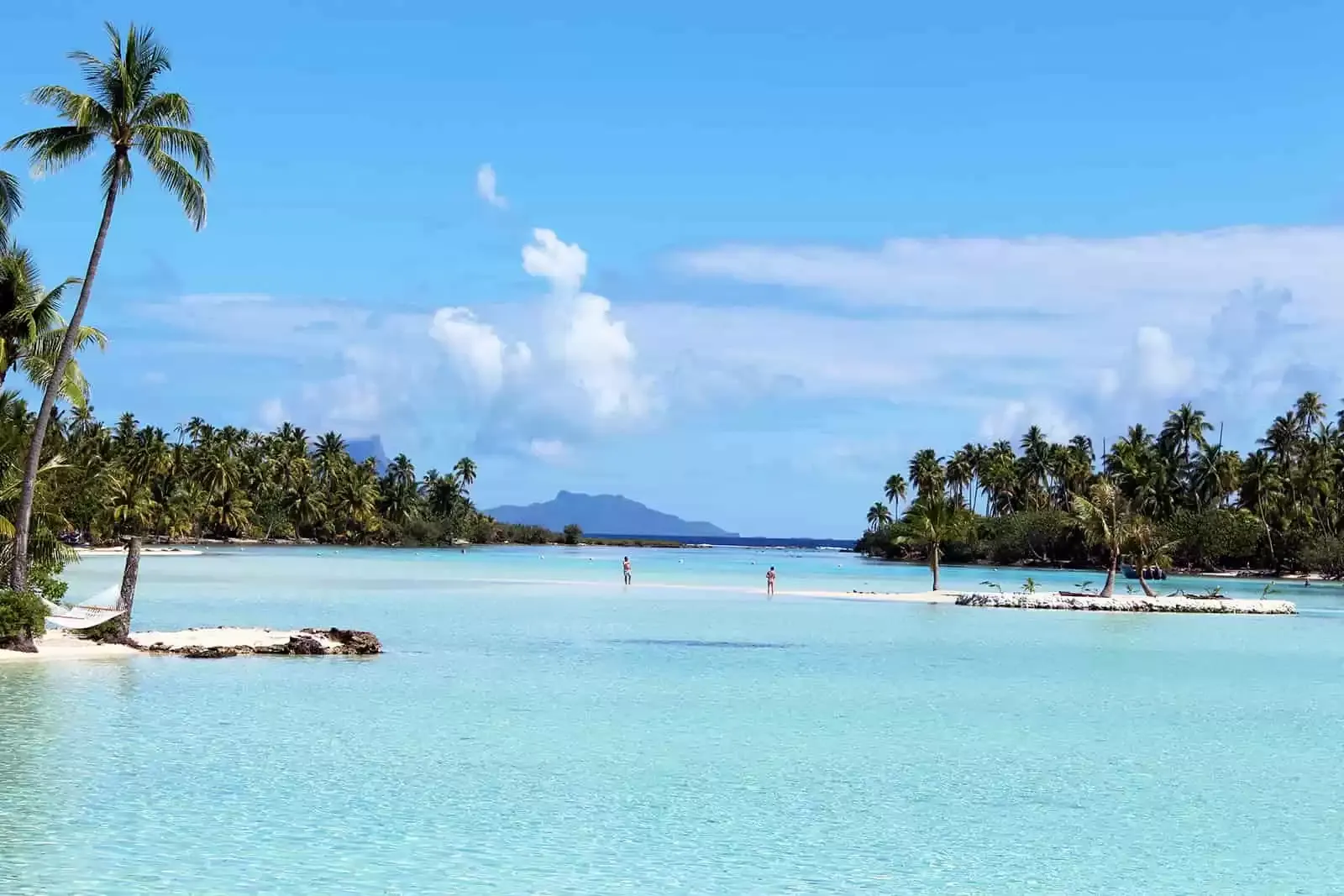 Tahaa