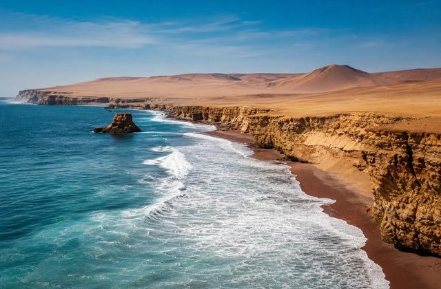 Na Reserva de Paracas
