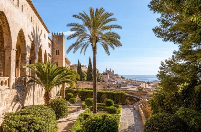 Palma