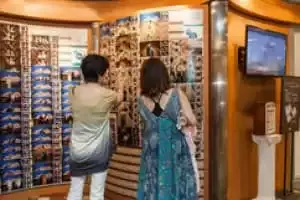 Galeria de fotos