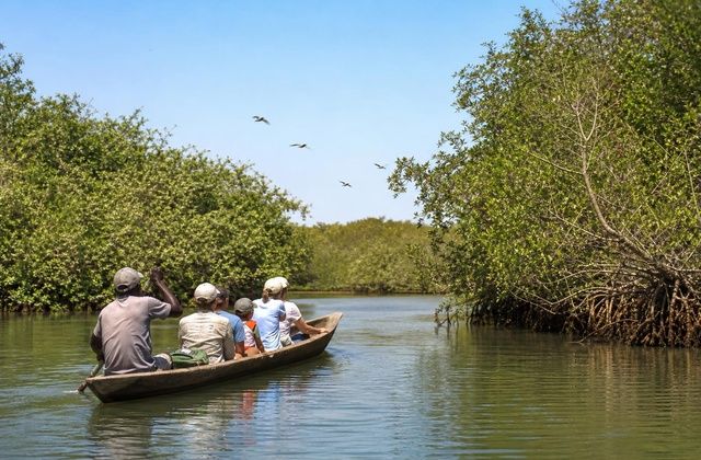 Delta do Sine-Saloum