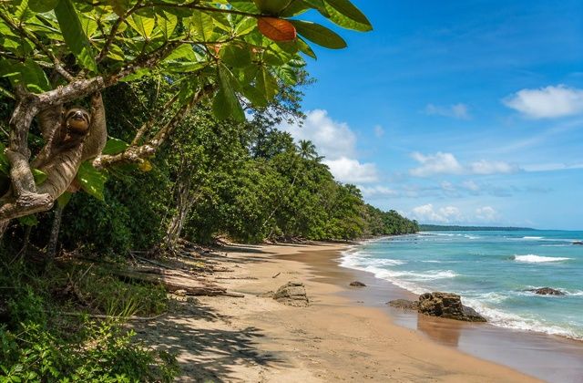 Parque Nacional de Cahuita