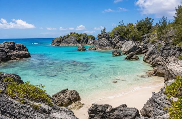 Jobson’s Cove