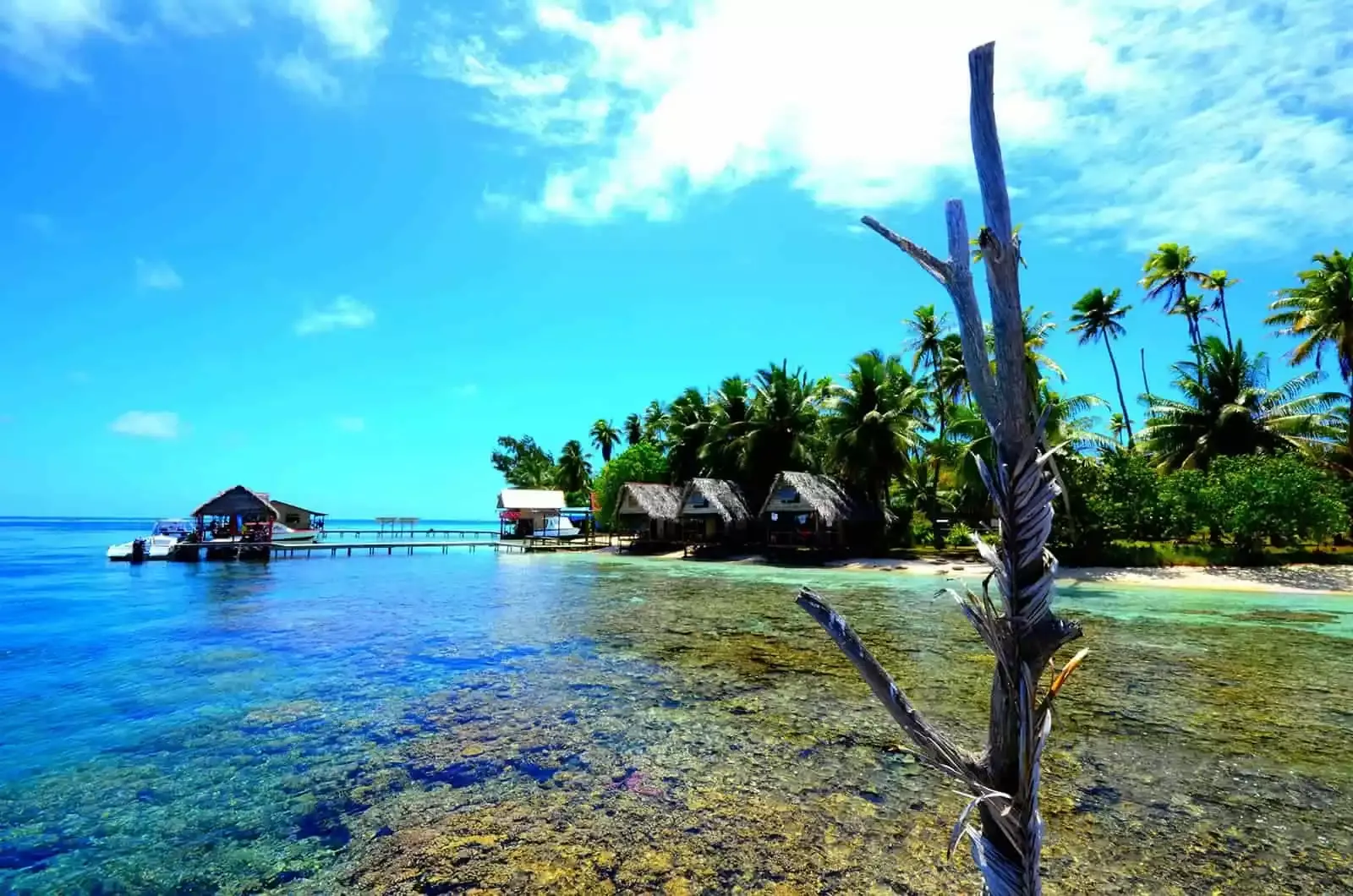 Tami Island