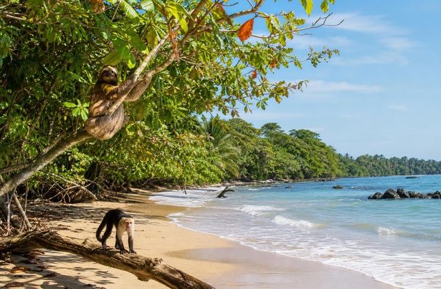 Nos arredores de Cahuita