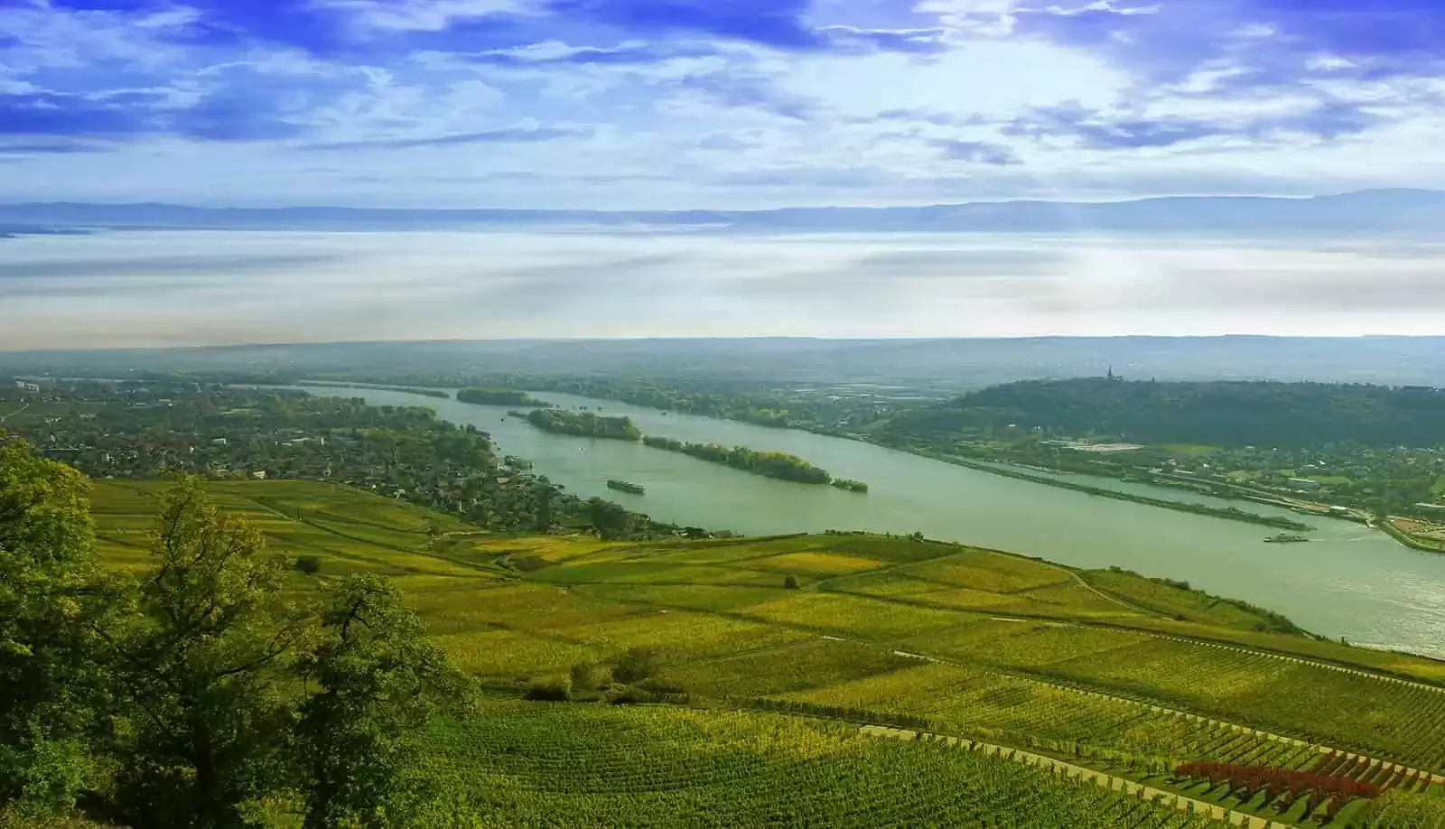 Rudesheim