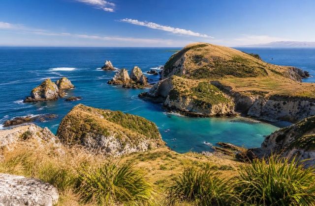 Dunedin