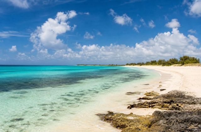 Loblolly Bay