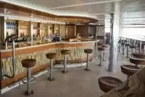 Bar Mermaid's Tail