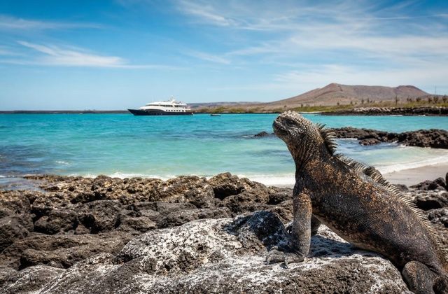 Nas Galápagos