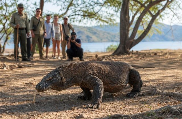 Em Komodo