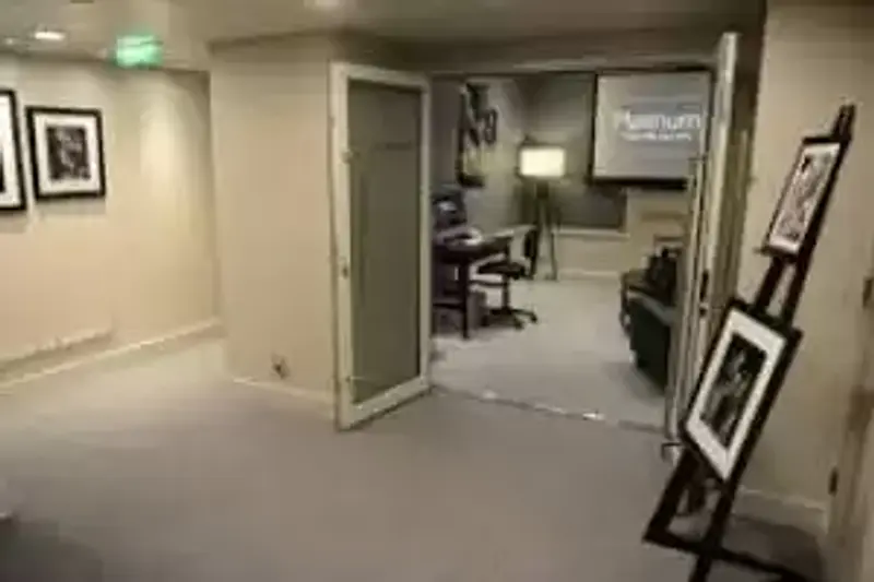 Platinum Studio