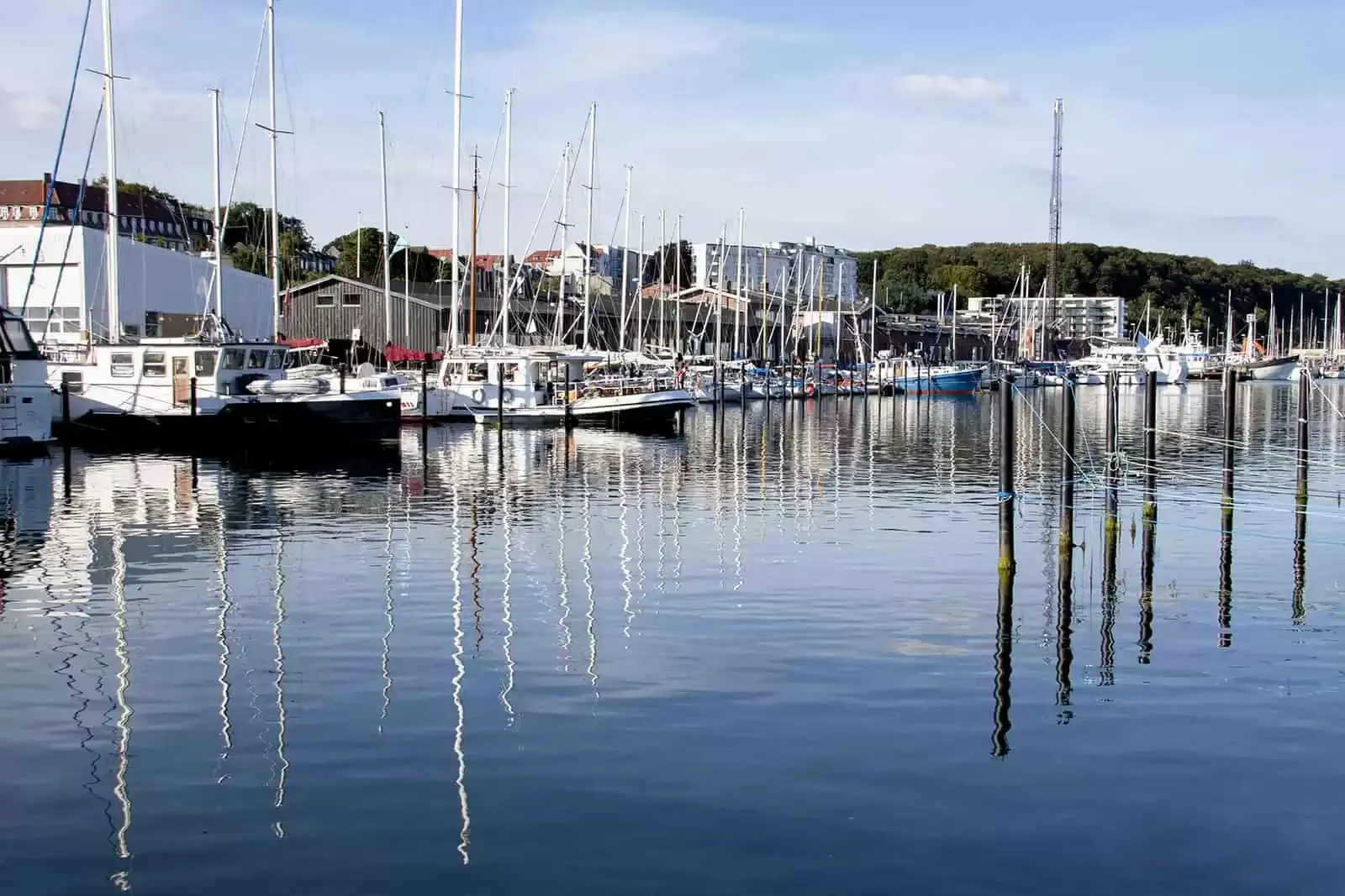 Arhus