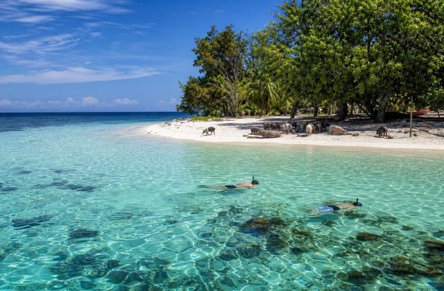 Ilha dos Porcos