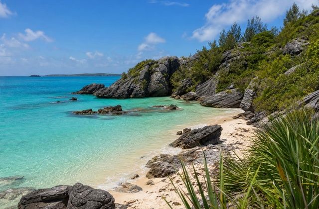 Tobacco Bay
