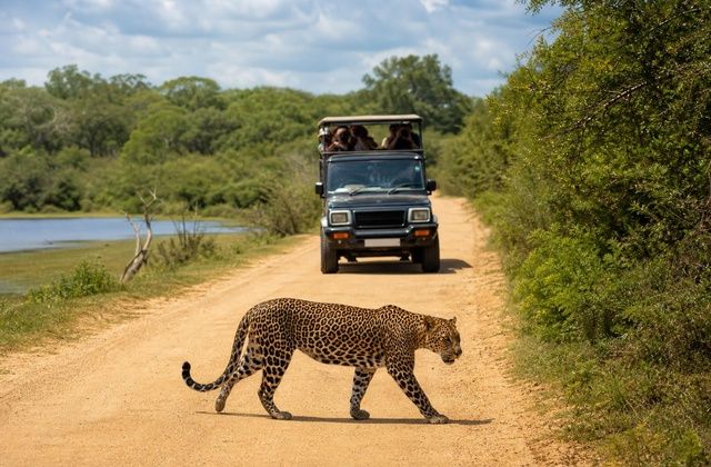 Parque Nacional de Yala