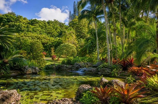 Jardins Botânicos das Bermudas