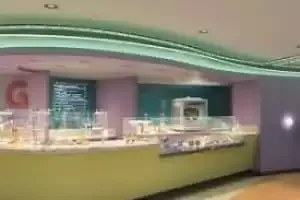 Gelato