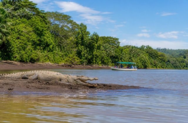 Rio Tárcoles