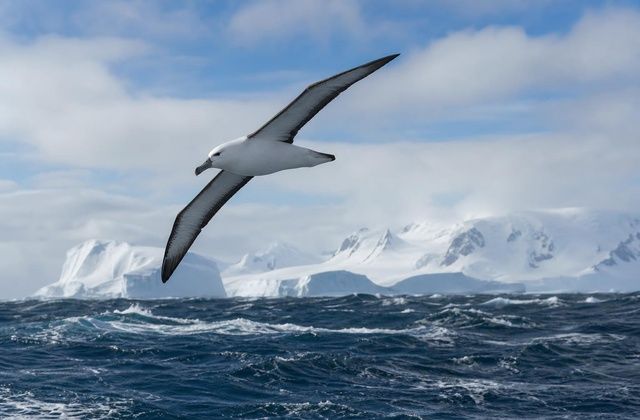 A Passagem de Drake e a Corrente Circumpolar