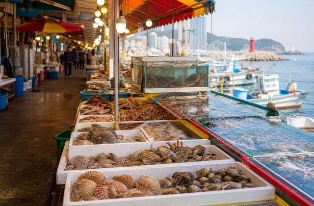 Mercado Turístico e Piscatório de Sokcho