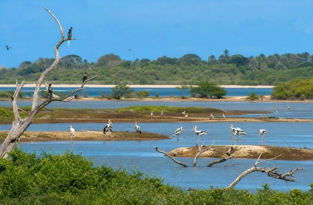 Parque Nacional de Bundala