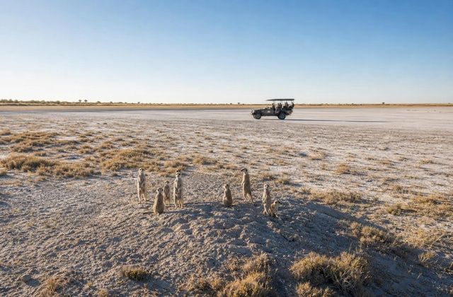 Makgadikgadi Pans