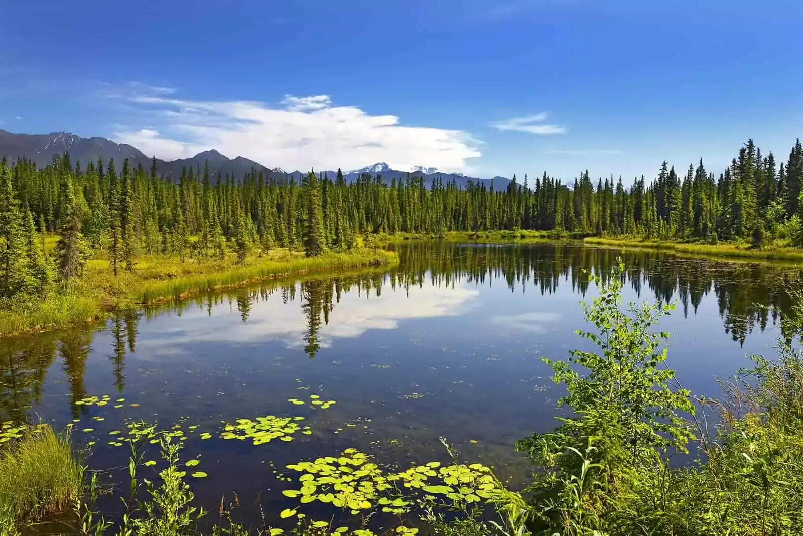 Wrangell