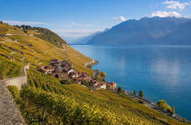 Lavaux