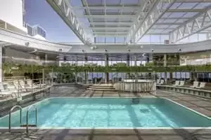 JUNGLE POOL LOUNGE