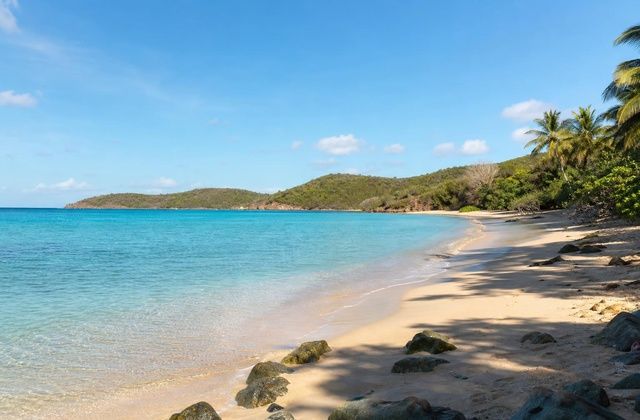 Vieques