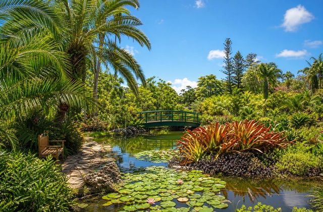 Jardins Botânicos das Bermudas