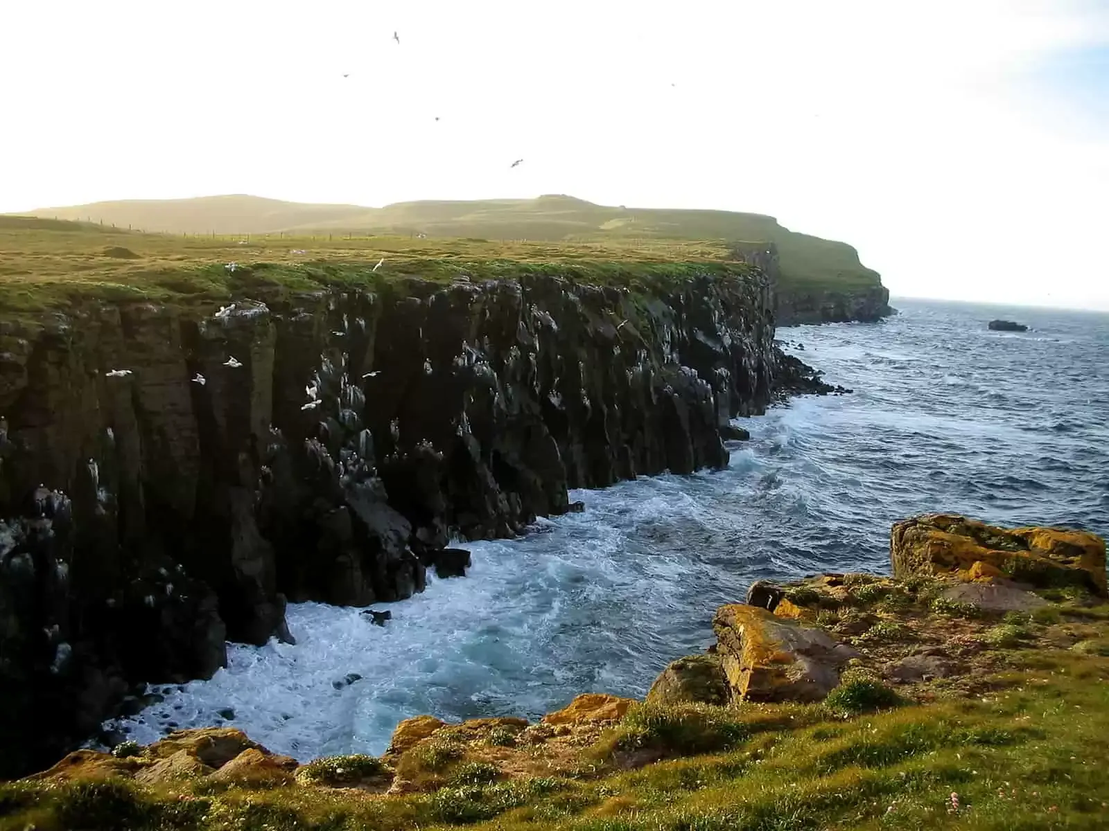 Ilha de Grimsey