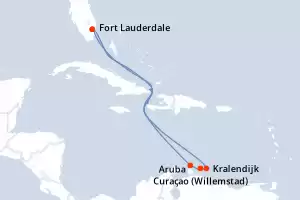 Celebrity Reflection