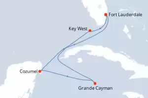 Celebrity Reflection