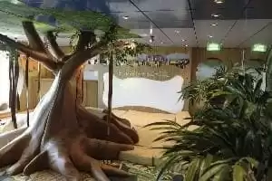 Children Indoor Playroom