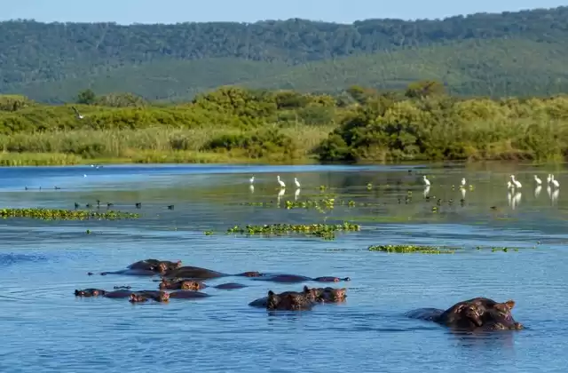 No iSimangaliso Wetland Park