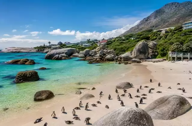 Na Península do Cabo