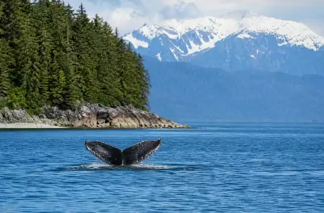 Em Icy Strait Point