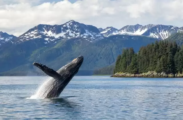 Em Juneau