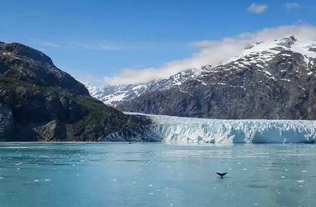 Em Glacier Bay