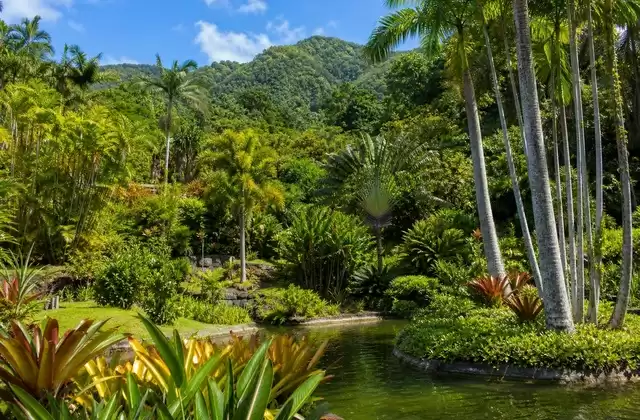 Jardim de Balata