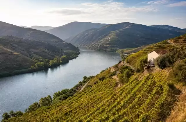 Vale do Douro